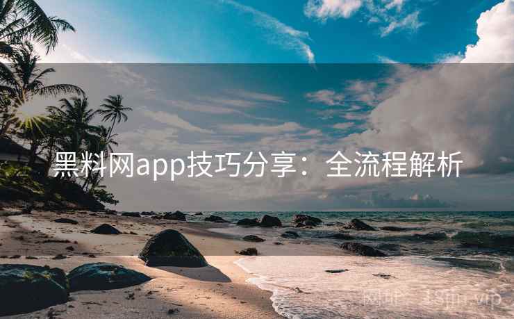 黑料网app技巧分享：全流程解析