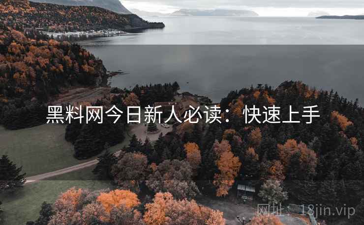 黑料网今日新人必读：快速上手