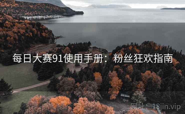 每日大赛91使用手册：粉丝狂欢指南