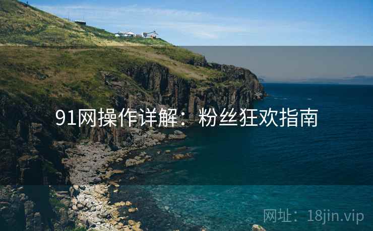 91网操作详解：粉丝狂欢指南