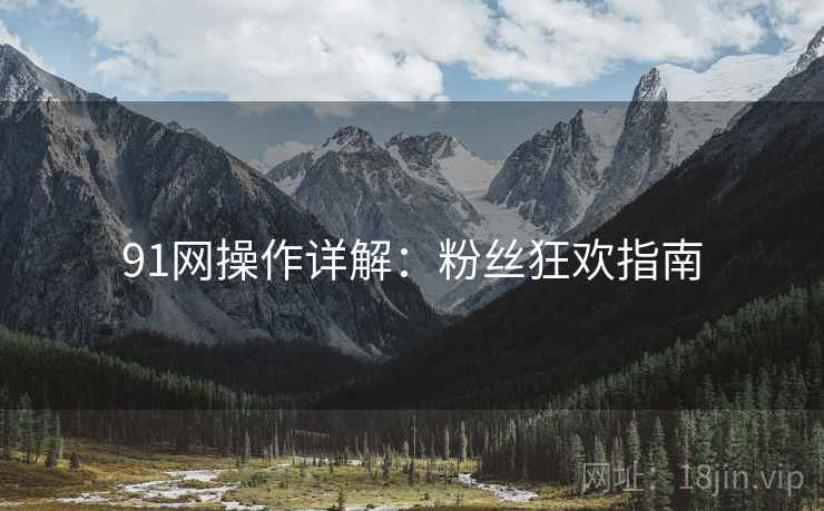 91网操作详解：粉丝狂欢指南