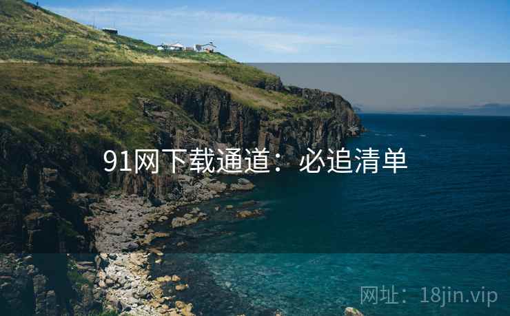 91网下载通道：必追清单