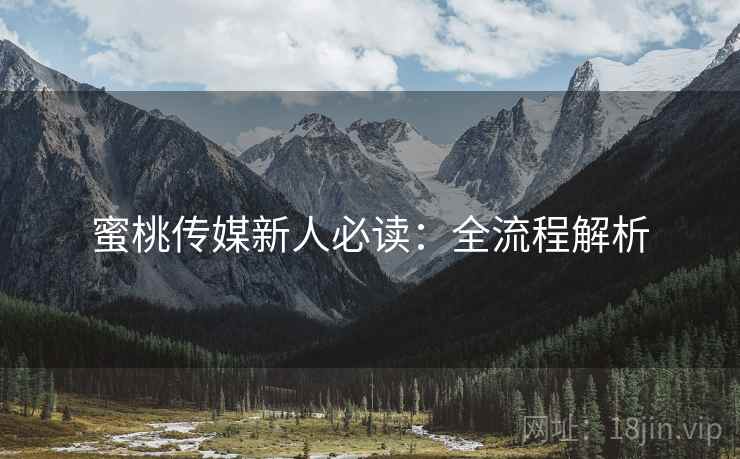 蜜桃传媒新人必读：全流程解析
