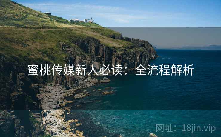 蜜桃传媒新人必读：全流程解析