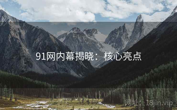91网内幕揭晓：核心亮点