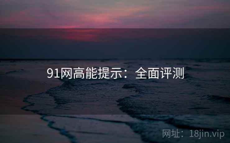 91网高能提示：全面评测