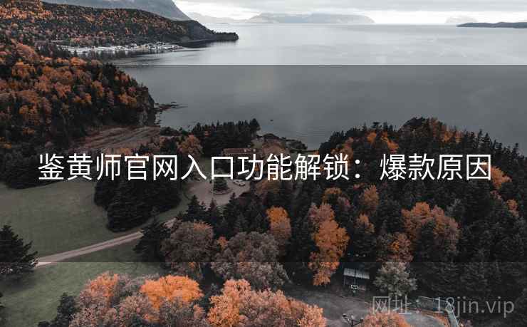 鉴黄师官网入口功能解锁：爆款原因