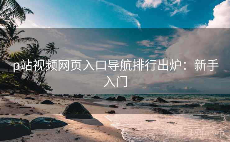 p站视频网页入口导航排行出炉：新手入门